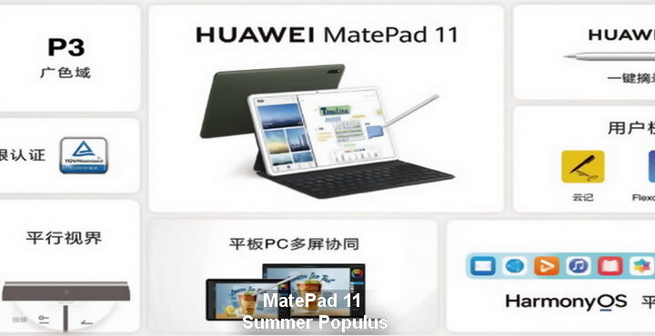 Huawei MatePad 11 Summer Populus im Angebot: Preis und Funktionen