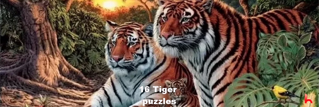Find the 16 tigers in the photo, can you see 16?