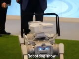 Robot dog show, Huawei Connect in 2022