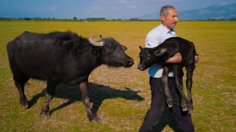 Mehmet Emin Coruş Wins Second Place in Huawei XMAGE Mobile Photography Awards 2025