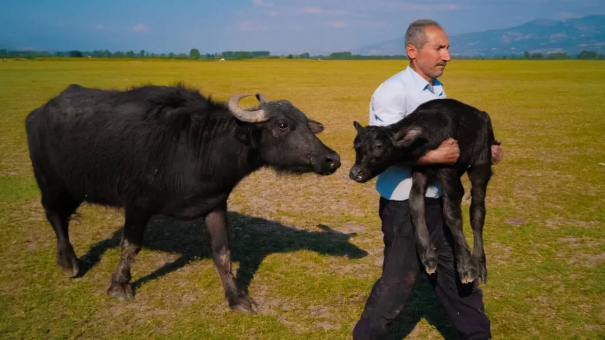 Huawei XMAGE 2025 Awards Announced in Paris; Tokat Photographer Wins World Second Place