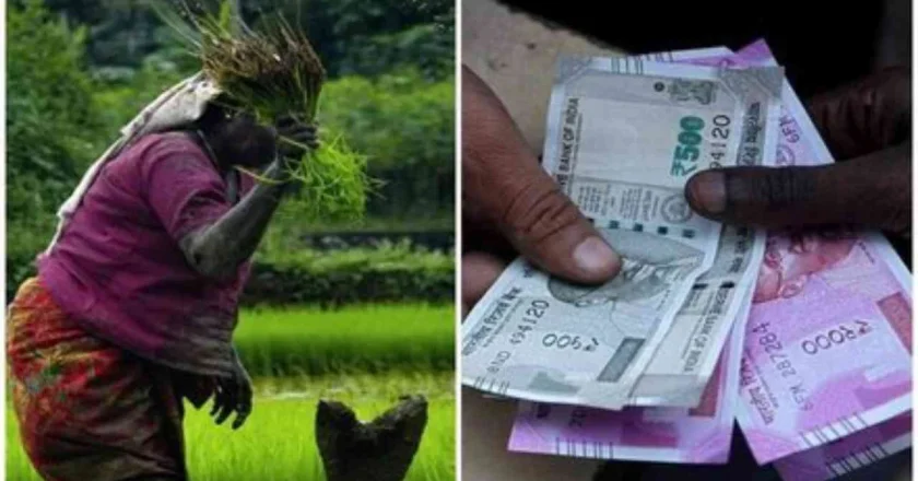 Discover Government Schemes Offering Big Benefits for Farmers Beyond Kisan Nidhi